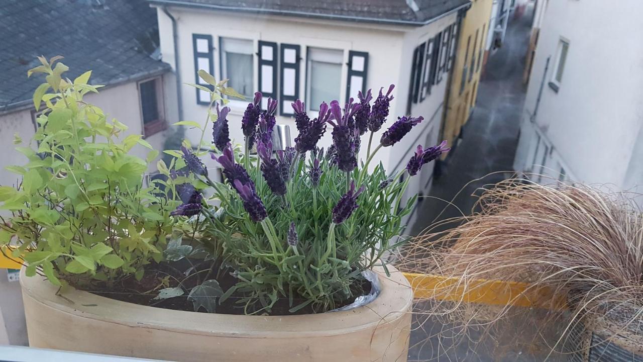 Вилла Haus Alfina Экстерьер фото